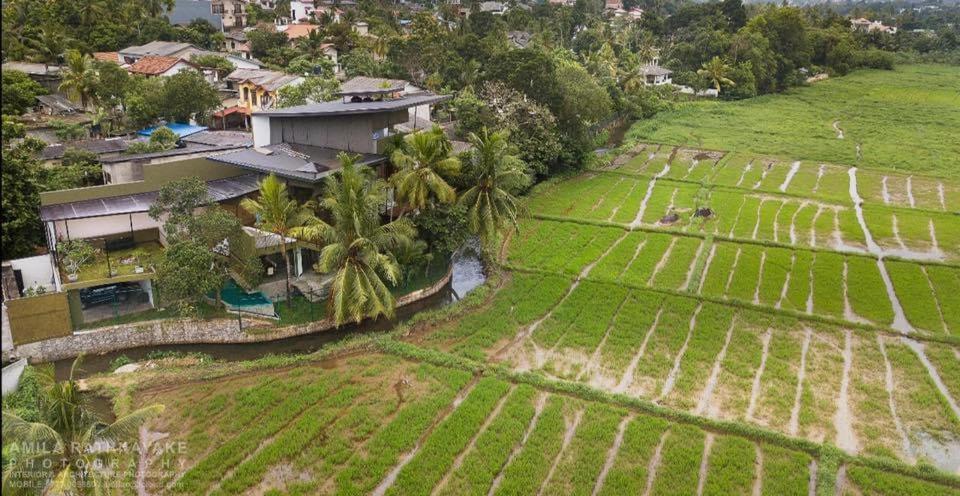 Villa 47 Pannipitiya Zewnętrze zdjęcie